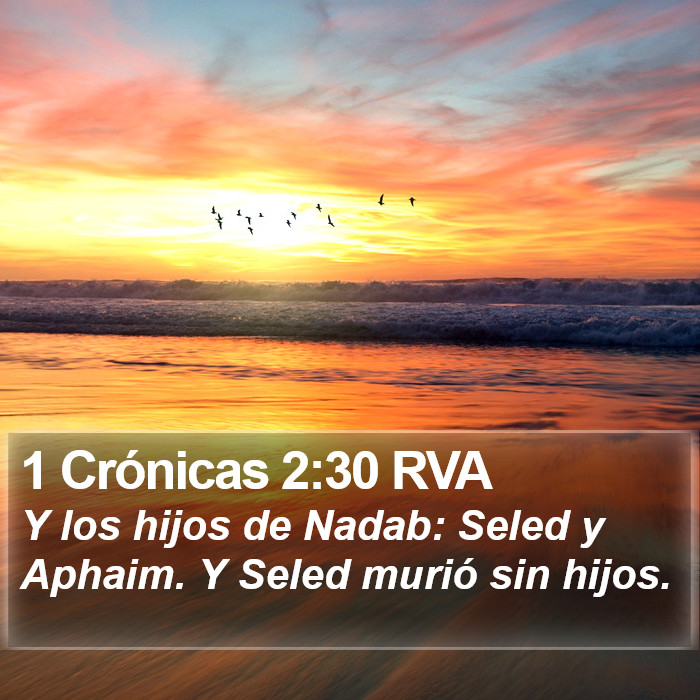 1 Crónicas 2:30 RVA Bible Study