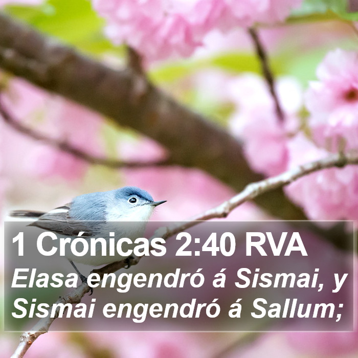 1 Crónicas 2:40 RVA Bible Study