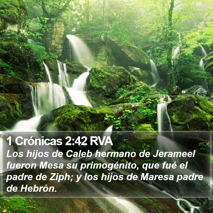 1 Crónicas 2:42 RVA Bible Study