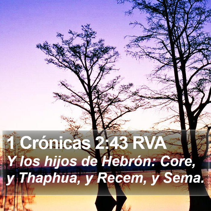 1 Crónicas 2:43 RVA Bible Study