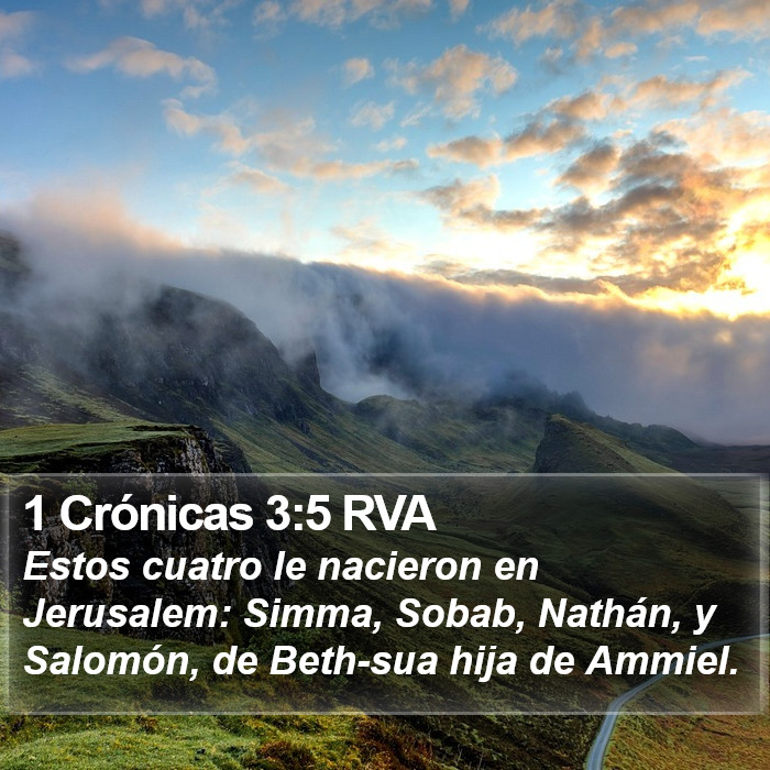 1 Crónicas 3:5 RVA Bible Study