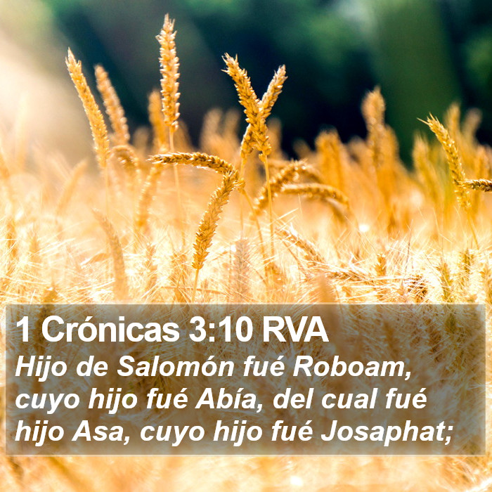 1 Crónicas 3:10 RVA Bible Study