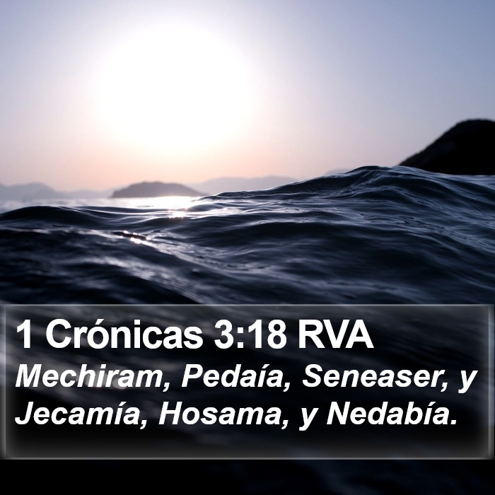 1 Crónicas 3:18 RVA Bible Study