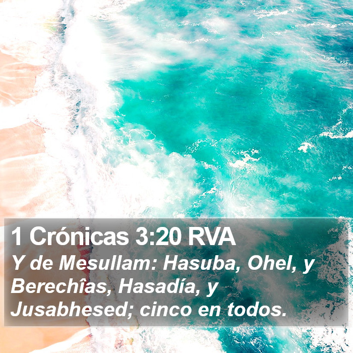 1 Crónicas 3:20 RVA Bible Study