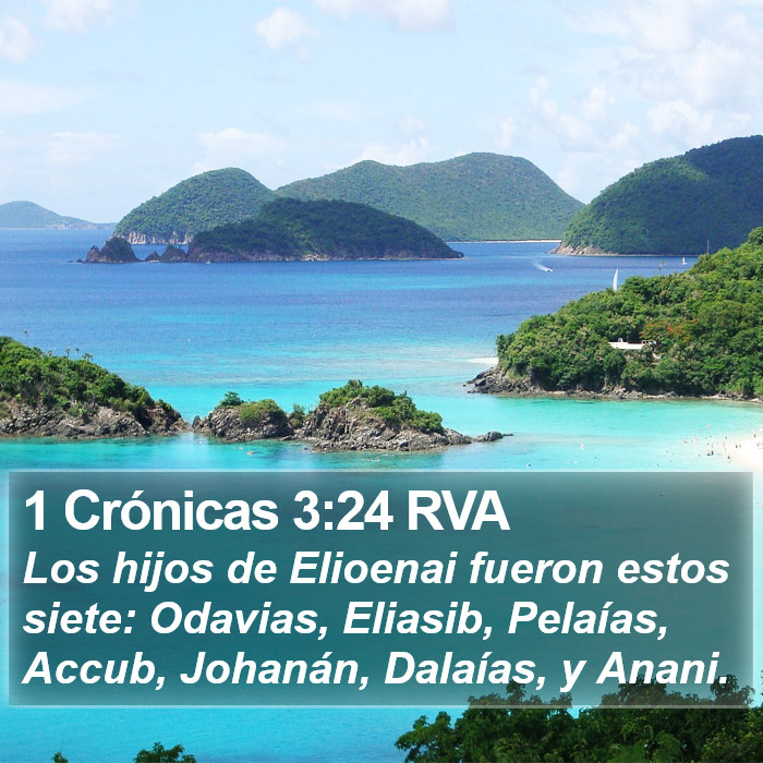 1 Crónicas 3:24 RVA Bible Study