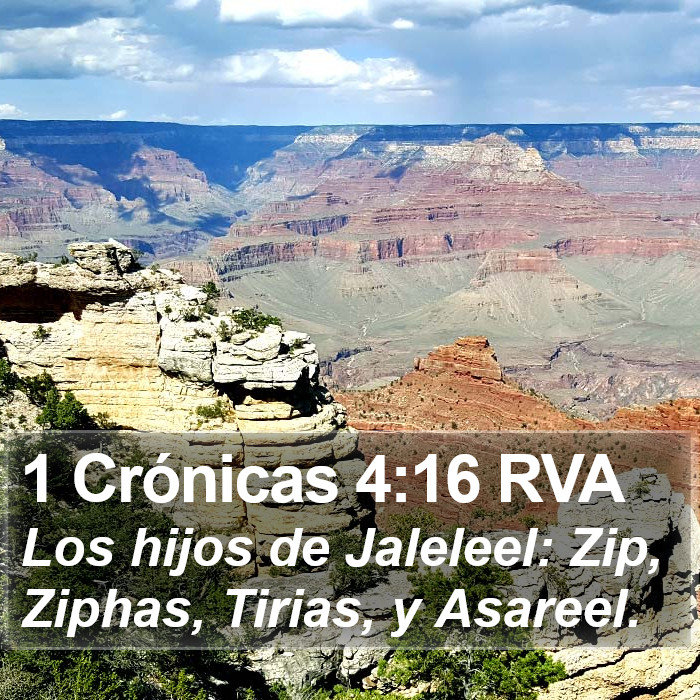 1 Crónicas 4:16 RVA Bible Study