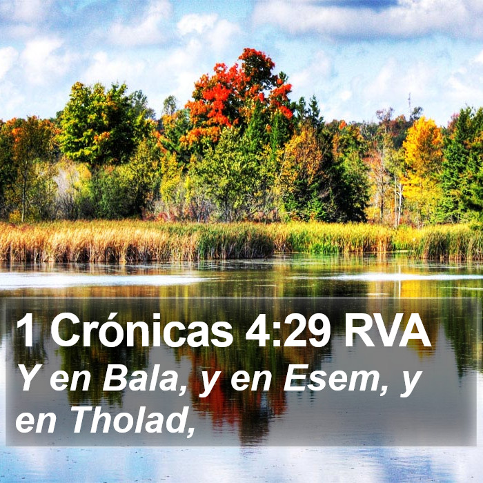 1 Crónicas 4:29 RVA Bible Study