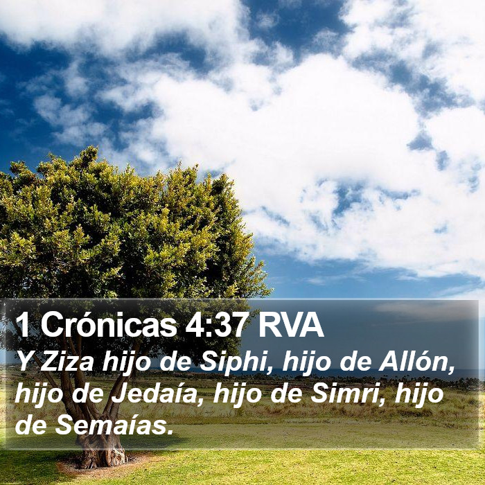 1 Crónicas 4:37 RVA Bible Study