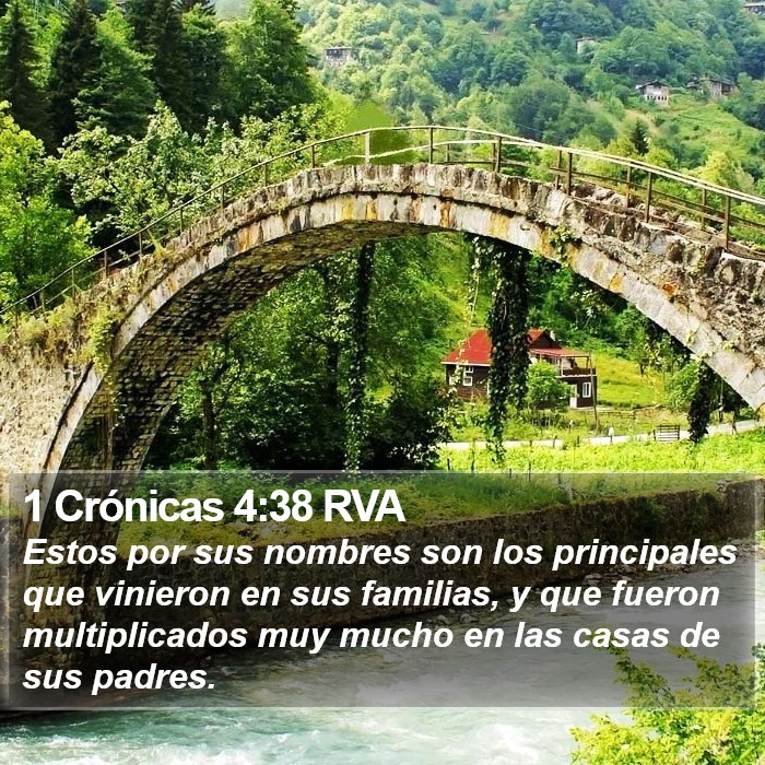 1 Crónicas 4:38 RVA Bible Study