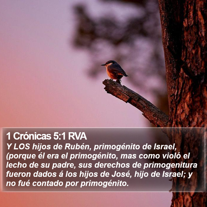 1 Crónicas 5:1 RVA Bible Study