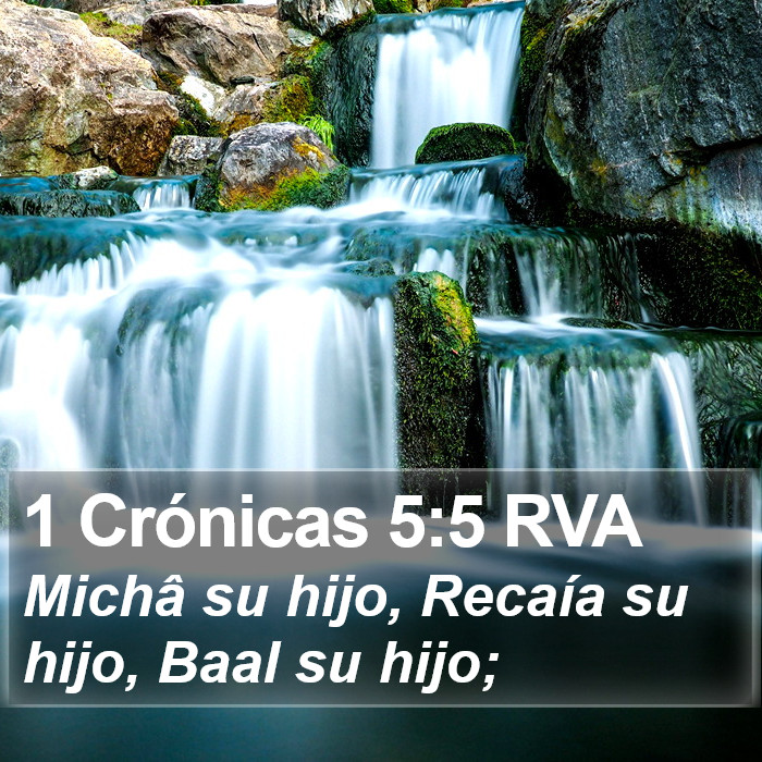 1 Crónicas 5:5 RVA Bible Study