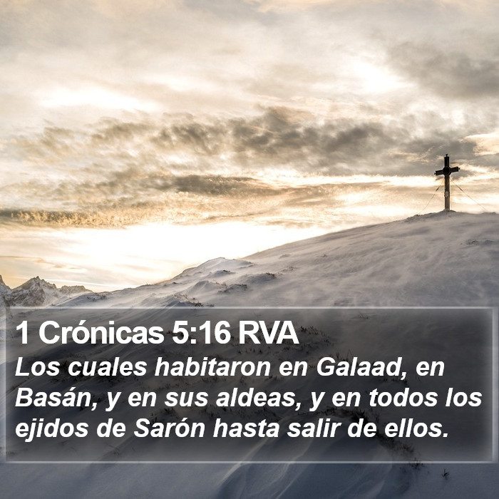 1 Crónicas 5:16 RVA Bible Study