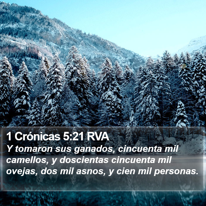 1 Crónicas 5:21 RVA Bible Study