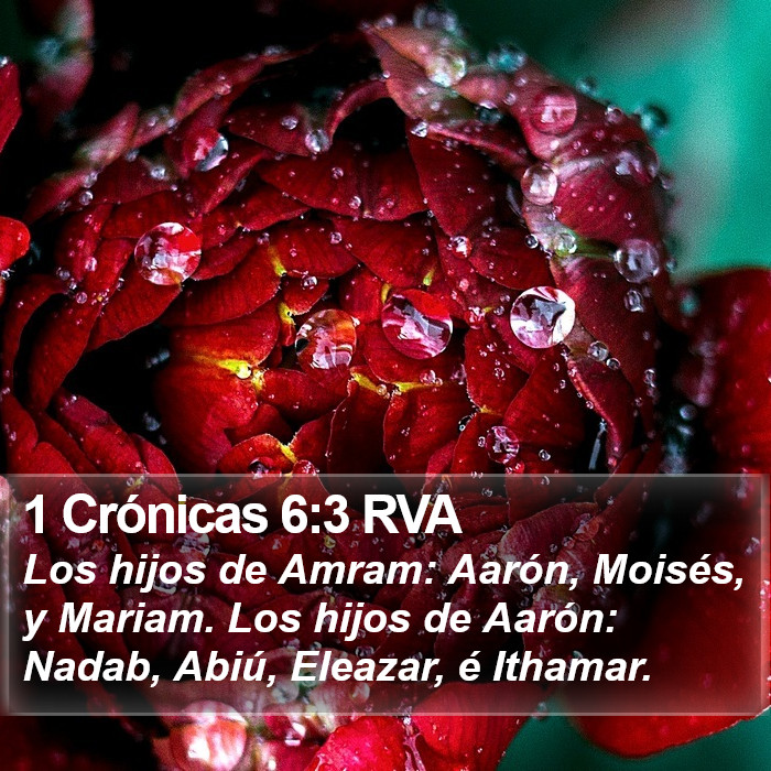 1 Crónicas 6:3 RVA Bible Study
