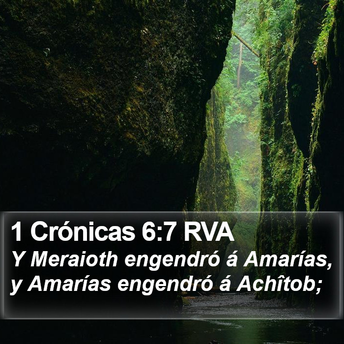 1 Crónicas 6:7 RVA Bible Study