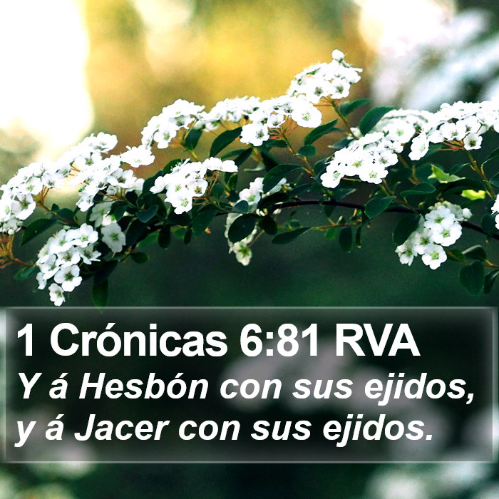 1 Crónicas 6:81 RVA Bible Study
