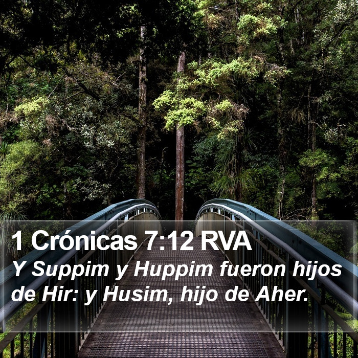 1 Crónicas 7:12 RVA Bible Study