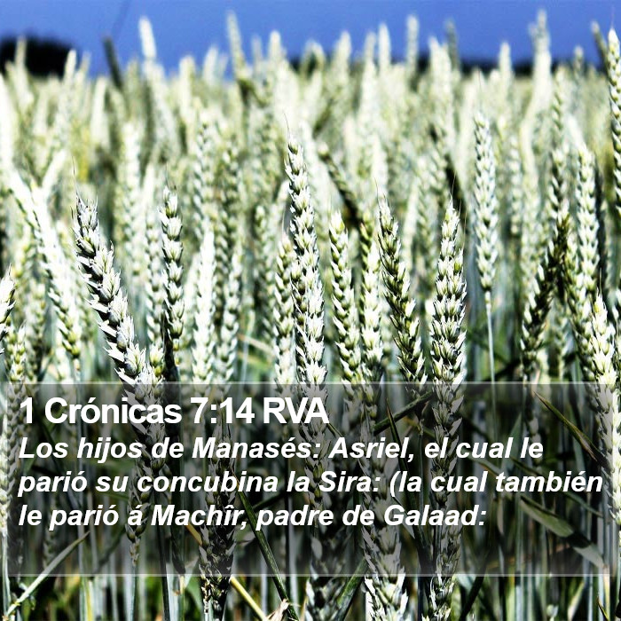 1 Crónicas 7:14 RVA Bible Study