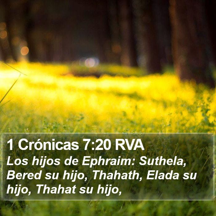 1 Crónicas 7:20 RVA Bible Study