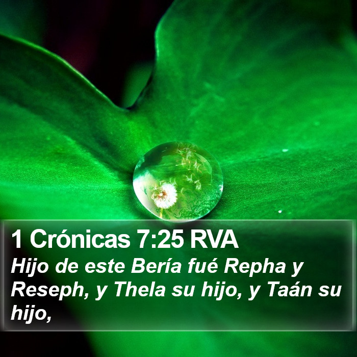 1 Crónicas 7:25 RVA Bible Study