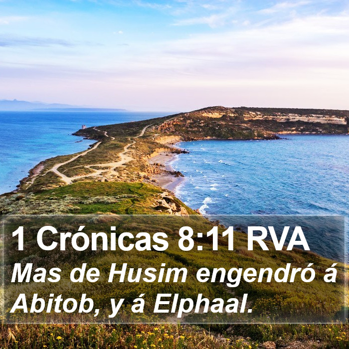 1 Crónicas 8:11 RVA Bible Study