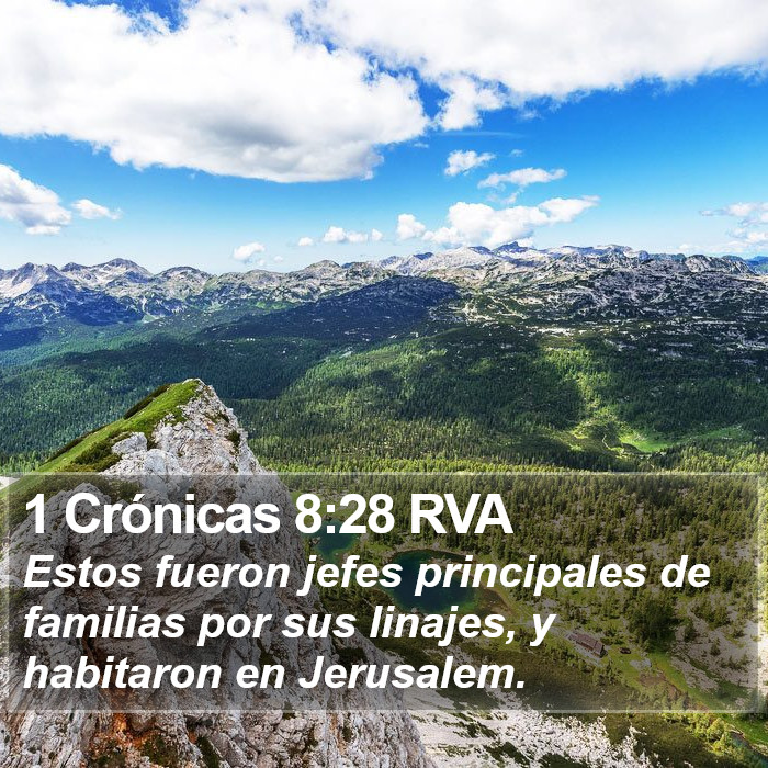 1 Crónicas 8:28 RVA Bible Study