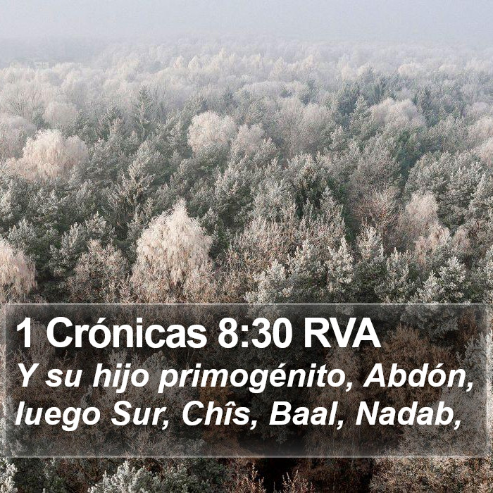 1 Crónicas 8:30 RVA Bible Study