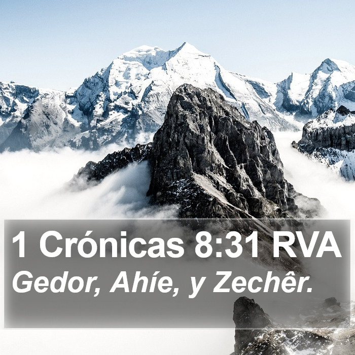 1 Crónicas 8:31 RVA Bible Study