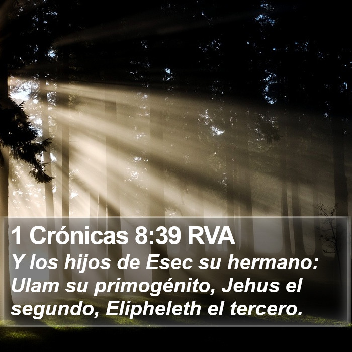 1 Crónicas 8:39 RVA Bible Study