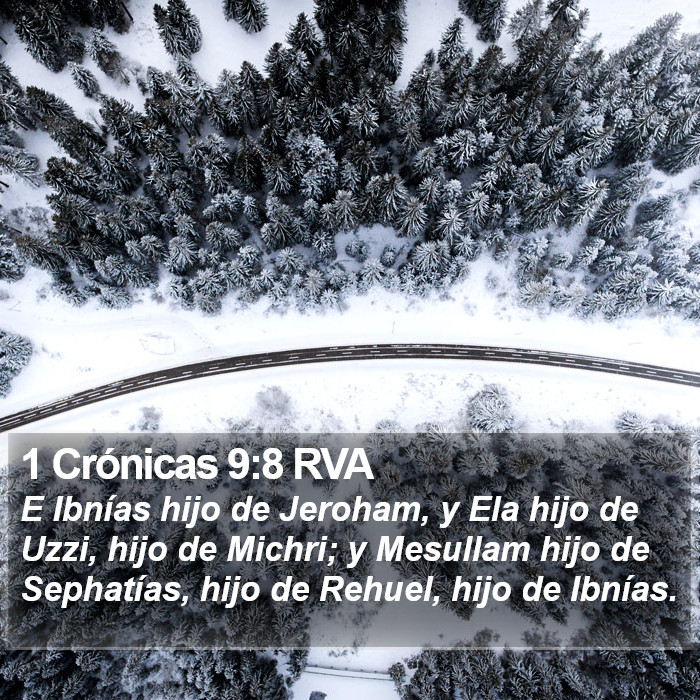 1 Crónicas 9:8 RVA Bible Study