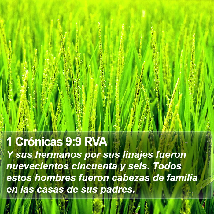 1 Crónicas 9:9 RVA Bible Study