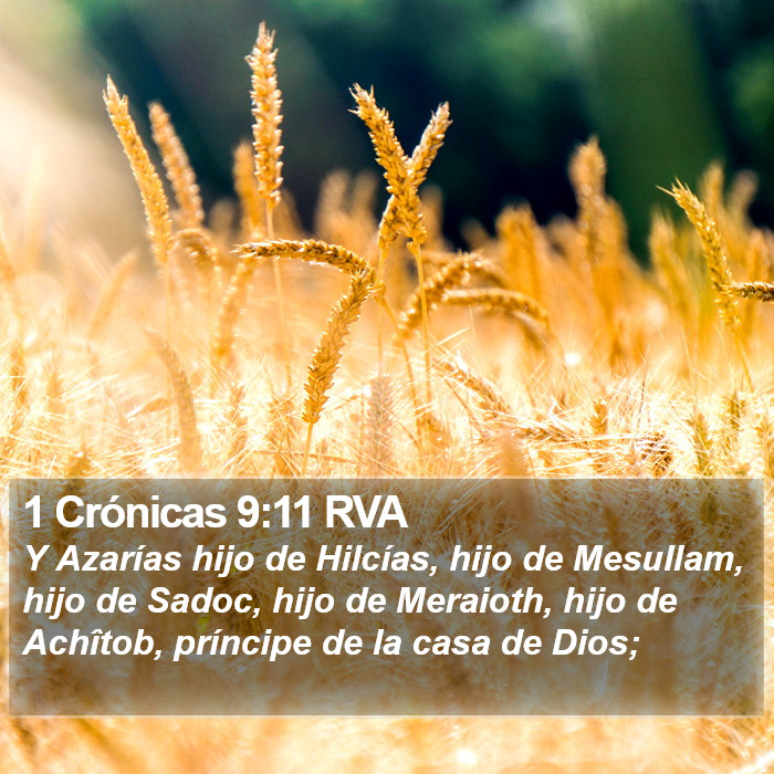 1 Crónicas 9:11 RVA Bible Study