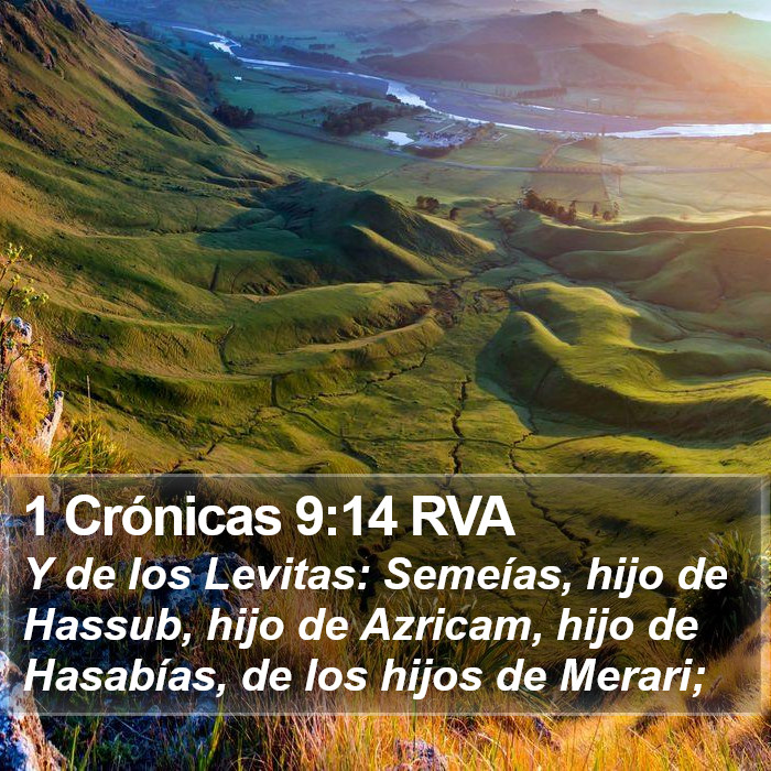 1 Crónicas 9:14 RVA Bible Study