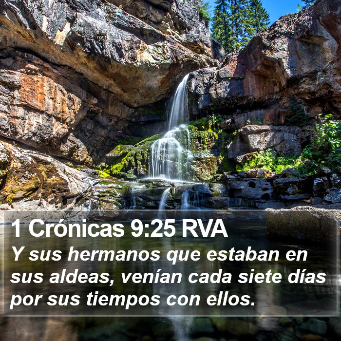 1 Crónicas 9:25 RVA Bible Study