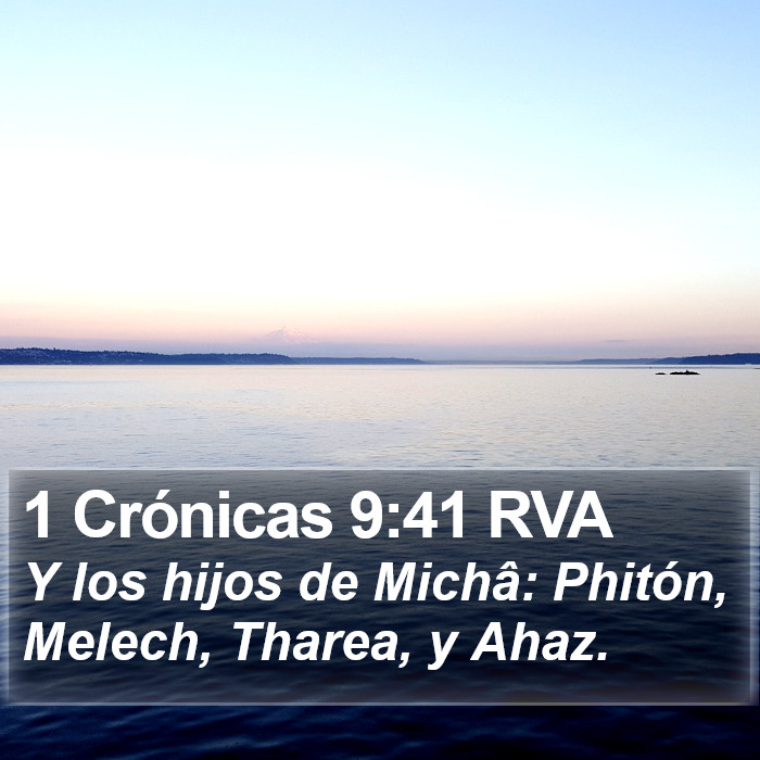 1 Crónicas 9:41 RVA Bible Study