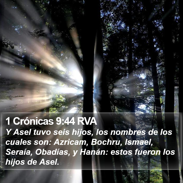 1 Crónicas 9:44 RVA Bible Study