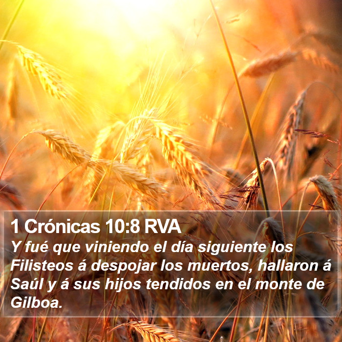 1 Crónicas 10:8 RVA Bible Study