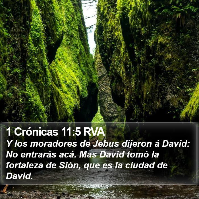 1 Crónicas 11:5 RVA Bible Study