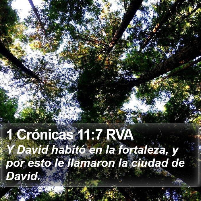 1 Crónicas 11:7 RVA Bible Study