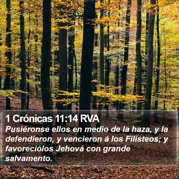 1 Crónicas 11:14 RVA Bible Study