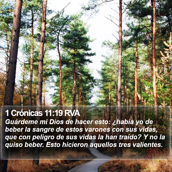 1 Crónicas 11:19 RVA Bible Study