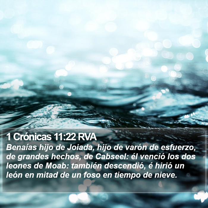 1 Crónicas 11:22 RVA Bible Study