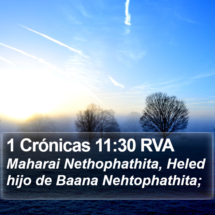 1 Crónicas 11:30 RVA Bible Study