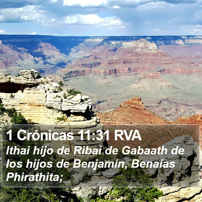 1 Crónicas 11:31 RVA Bible Study