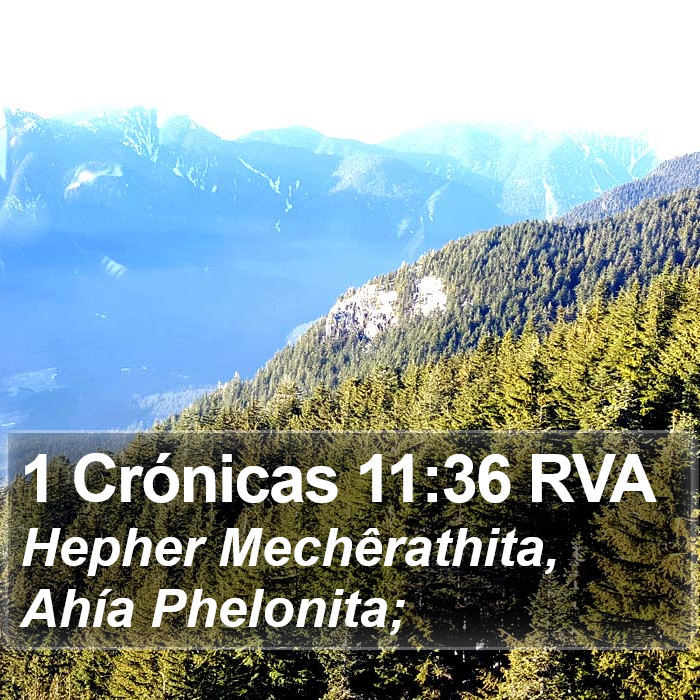 1 Crónicas 11:36 RVA Bible Study