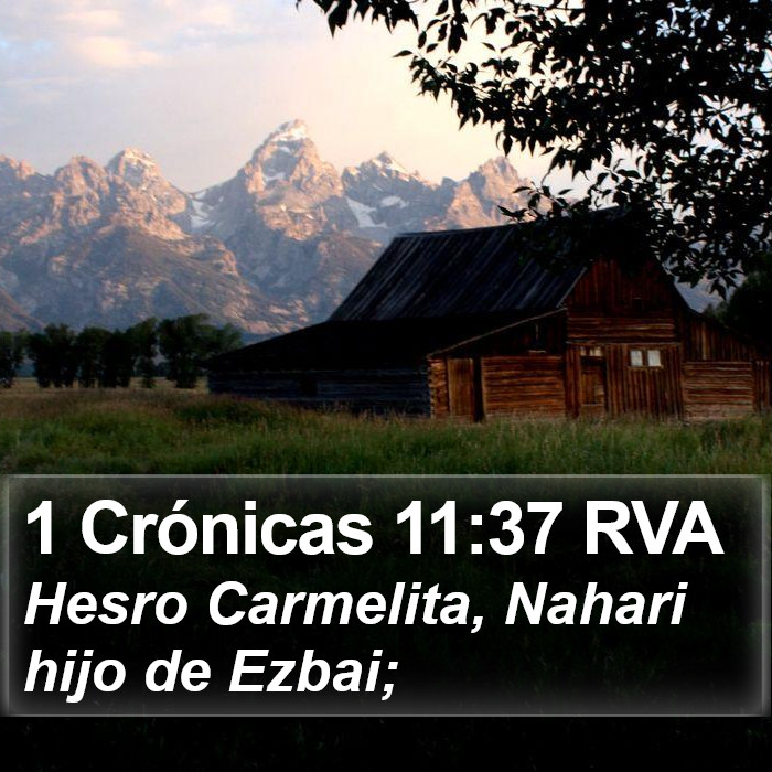 1 Crónicas 11:37 RVA Bible Study