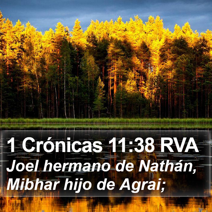 1 Crónicas 11:38 RVA Bible Study