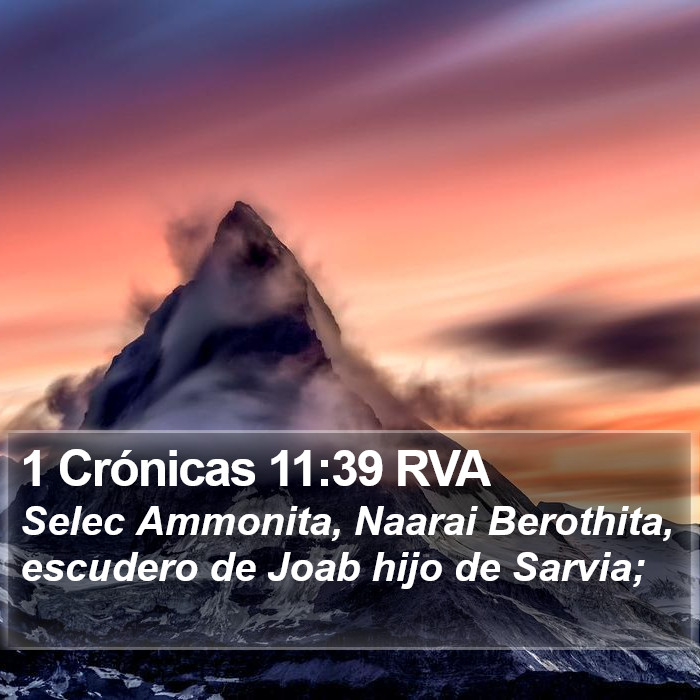 1 Crónicas 11:39 RVA Bible Study