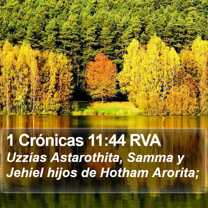 1 Crónicas 11:44 RVA Bible Study