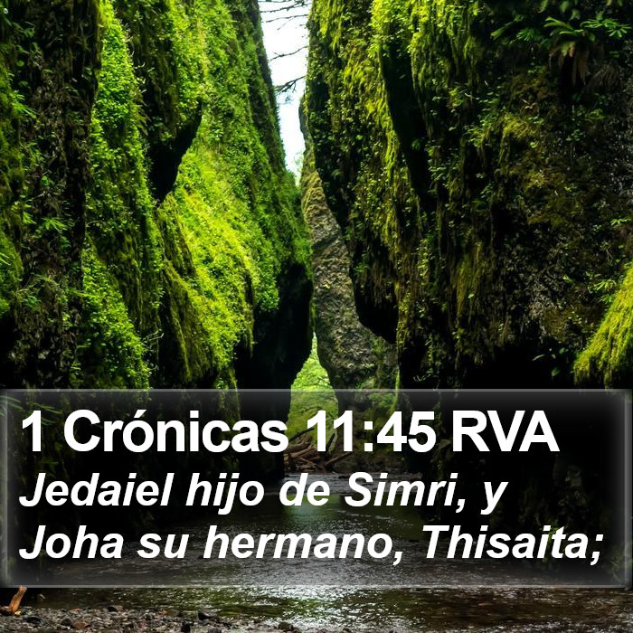 1 Crónicas 11:45 RVA Bible Study